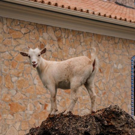 Вілла Quinta Do Bamby Лейрія Екстер'єр фото