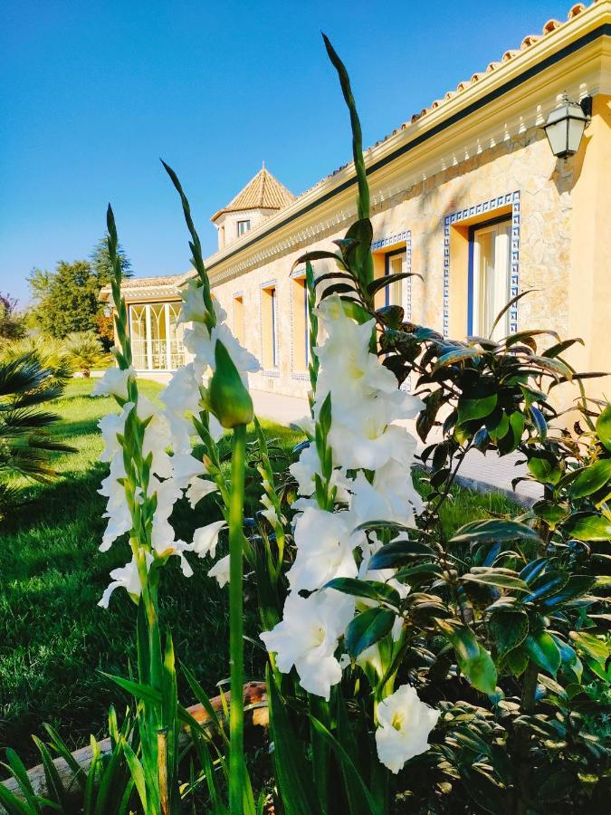 Вілла Quinta Do Bamby Лейрія Екстер'єр фото