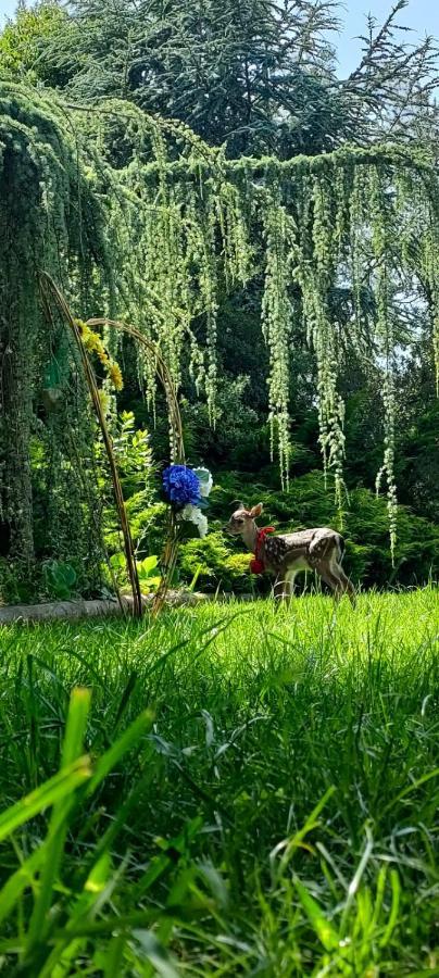 Вілла Quinta Do Bamby Лейрія Екстер'єр фото