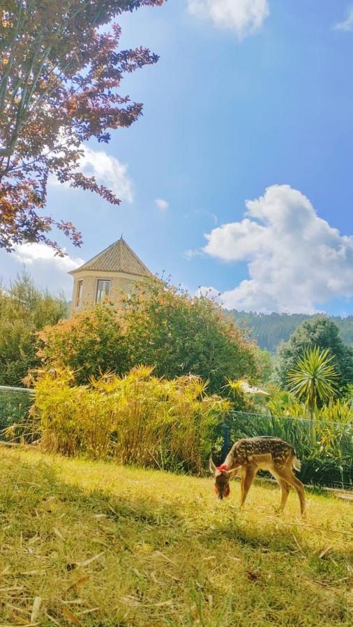 Вілла Quinta Do Bamby Лейрія Екстер'єр фото